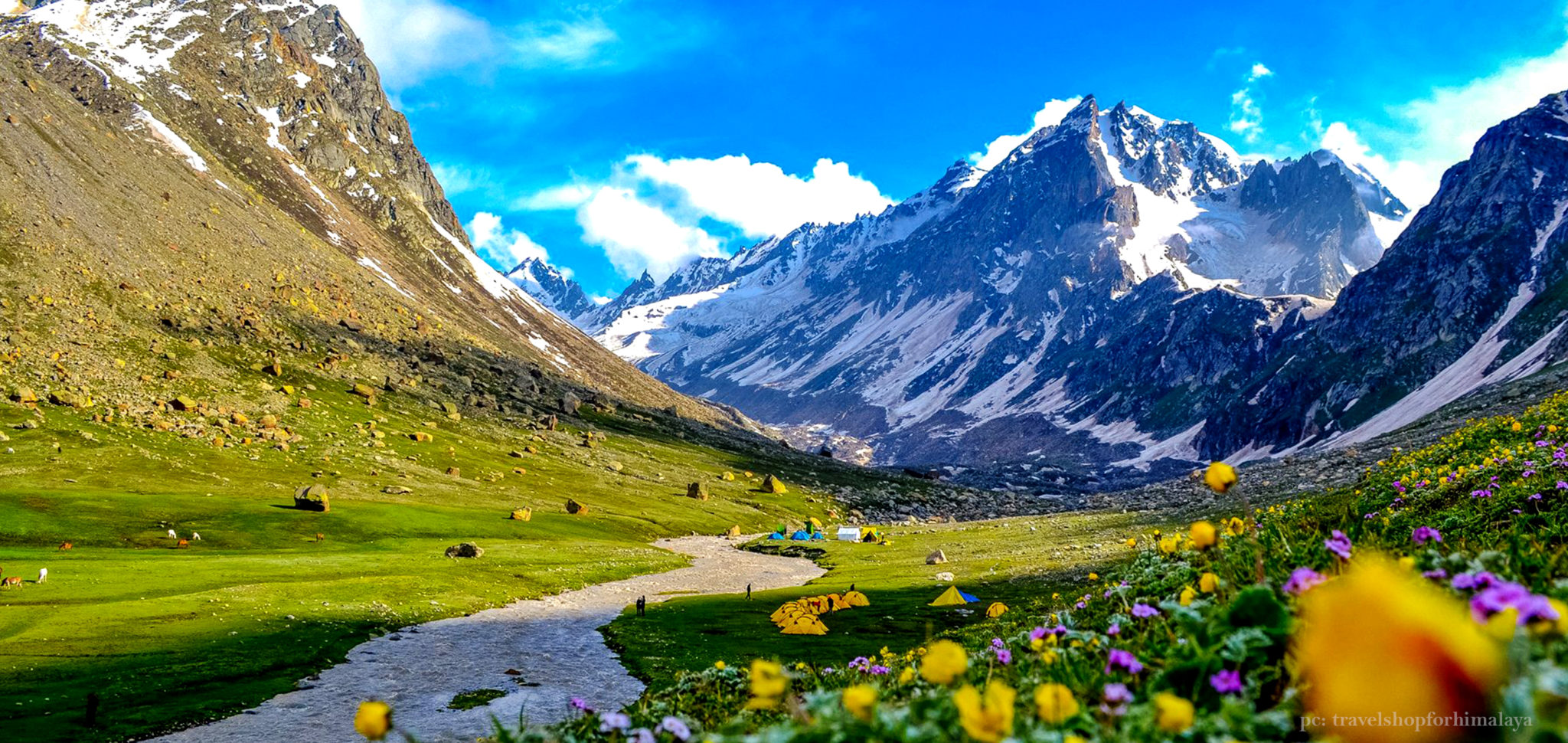 Best Tour Packages in Himachal
